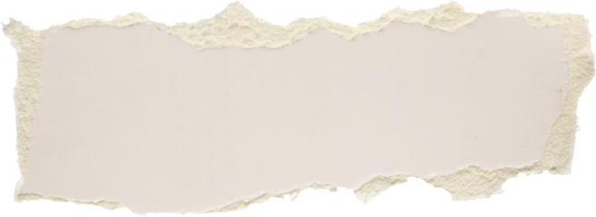 piece of white paper tear isolated on white background