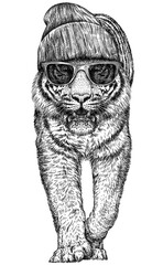 Vintage engraving isolated tiger glasses dressed fashion set illustration ink sketch. Africa wild cat background animal silhouette sunglasses hipster hat art. Black and white hand drawn image