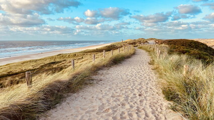 Dunes of Egmond aan Zee (Schoorlse Duinen) on the Dutch North Sea. Egmond aan Zee, the Netherlands, Europe.  - obrazy, fototapety, plakaty