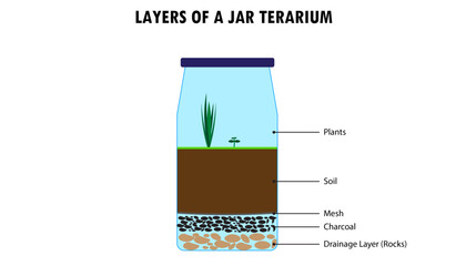 diagram of the layers of a jar terrarium