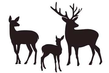 Silhouette of beautiful  deers on white background. Vector illustration