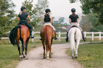 Three horsewomen enjoy riding beautiful horses, side by side along the trail at the equestrian center on a sunny day - obrazy, fototapety, plakaty