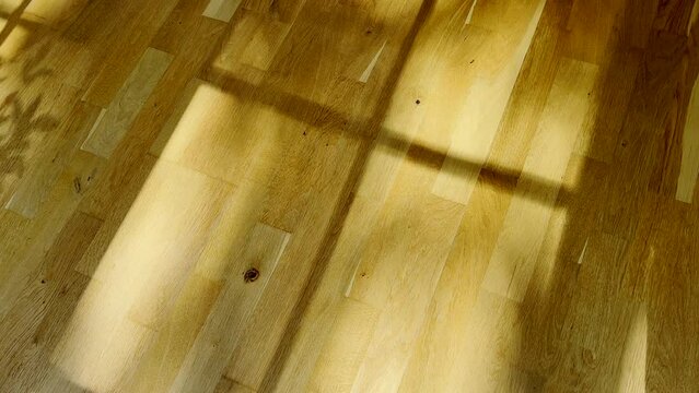 shadows and sun reflections on the floor