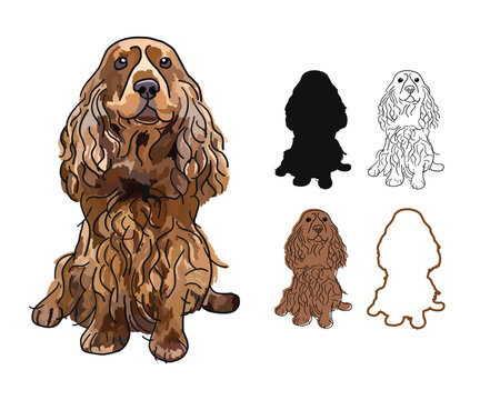 Cocker spaniel dog portrait. Sticker on a white background. Cute detailed mongrel Drawing. Cartoon style. Popular character. Black stroke, dog outlines. Brown silhouette. Flat style. Dog stickers set.