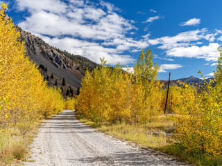 Fototapeta na wymiar Gravel road in the fall leading into the Idaho wilderness