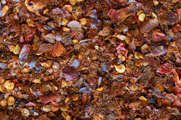 Homemade chili flakes made of toasted (roasted dry)  chilies