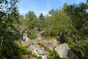 Fototapeta na wymiar Old stone quarry in the Apremont gorges. Fontainebleau forest