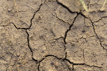 Texture of dried earth with cracks. Close-up.