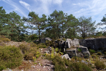 Fototapeta na wymiar Old stone quarry in the Apremont gorges. Fontainebleau forest