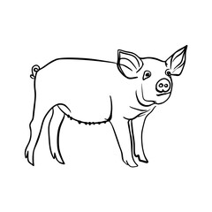 Vector sketch hand drawn silhouette of a pig, line art