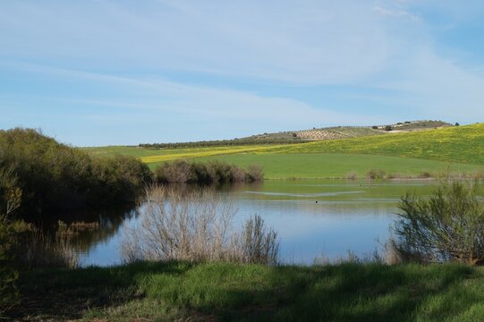 Laguna redonda Campillos, M&aacute;laga, Andaluc&iacute;a