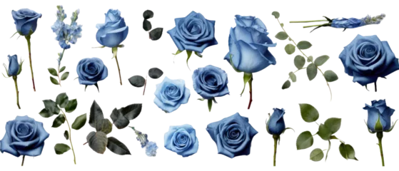 Foto op Canvas  Set of isolated buds, flowers, leaves and blue rose flowers on transparent background. cut flower elements, garden themed designs. Top view high quality PNG." design elements, top view / flat lay © byerenyerli