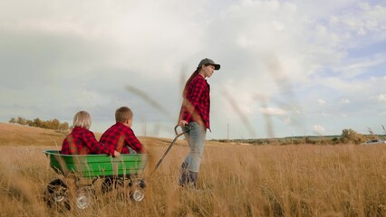 Smiling mother pulls cart with funny little boys walking along farm field