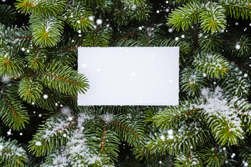 Fototapeta na wymiar Top view of a blank greeting card lying on a background of fir branches.