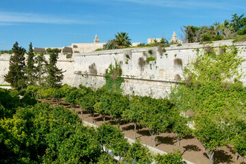 Scenic view of moat in Mdina