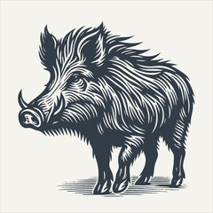 Wild boar. Vintage woodcut engraving style vector illustration. - obrazy, fototapety, plakaty