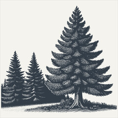 Christmas tree. Vintage woodcut engraving style vector illustration.	