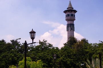 Fototapeta premium view from above with tower and trees