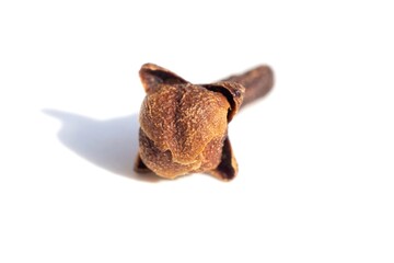Macro of Clove Spice Isolated on White Background with Copy Space