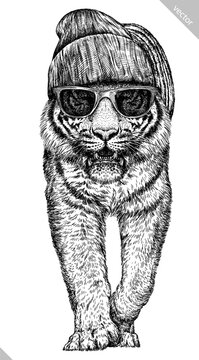 Vintage engraving isolated tiger glasses dressed fashion set illustration ink sketch. Africa wild cat background animal silhouette sunglasses hipster hat art. Black and white hand drawn vector image