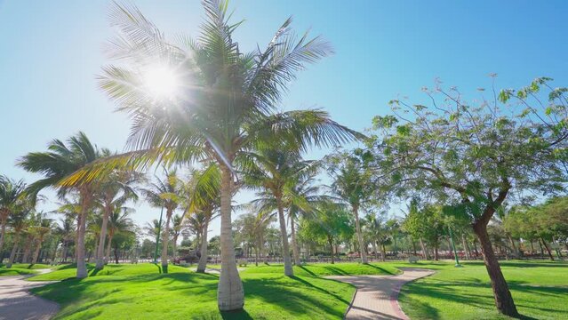 4k, public park oasis with palm trees panoramic view, Yanbu, Saudi Arabia