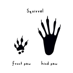 Traces of Squirrel. Drawing of Squirrel paw print. Trail Rodent of front and hind paws. Wild, forest animal. Squirrel footprint. Logo design. Symbol, tracks icons. Vector illustration