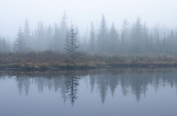Fototapeta na wymiar Cold misty morning in wetlands in Eastern Canada with mirror-like reflections on the water