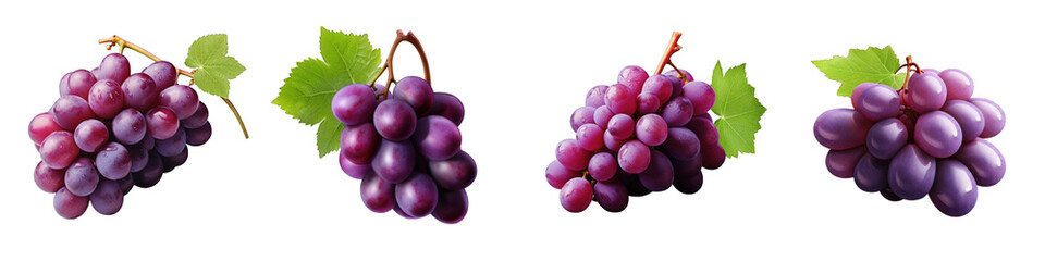 Fototapeta premium Purple Grapes clipart collection, vector, icons isolated on transparent background