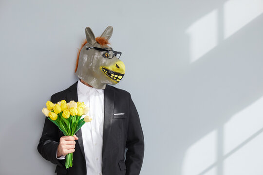 Unidentifiable man in rubber donkey head mask holding bouquet of flowers. Male mule in formal suit, white shirt and glasses standing at grey wall with yellow tulip flowers