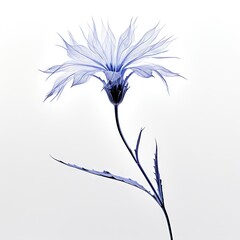 a single blue flower is shown against a white sky background.  generative ai