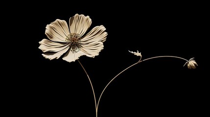  a white flower with a black background is shown in the image.  generative ai