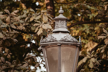 Old street lamp in the park