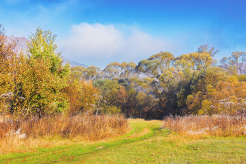 environmental landscape of rural area. mountainous countryside scenery in autumn. foggy weather trees in colorful foliage on a sunny day