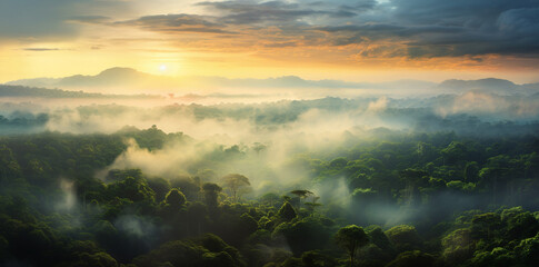 Enchanting aerial view: morning light bathes forest, showcasing nature's vibrant hues.