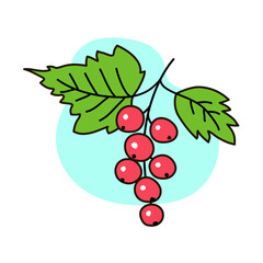Red currant with leaves. Bunch of fresh berries. Sweet delicious dessert. Jam ingredient. Outline vector illustration isolated on white background