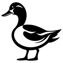 Vector silhouette of a standing duck, black and white duck illustration