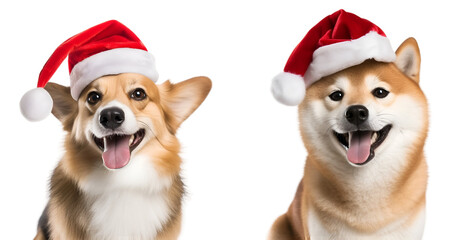 Set of Brown Dogs Wearing Santa Claus Hats, Christmas Canines isolated on transparent background - Generative AI