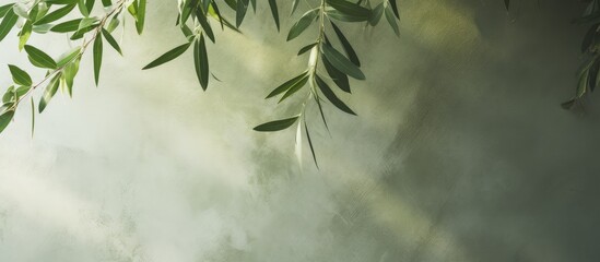 Nature inspired abstract concept with tree shadows on an olive green wall texture Suitable for text...