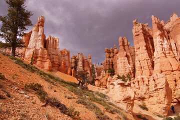 Elaborately eroded pinnacles and hoodoos