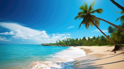 Tropical beach 