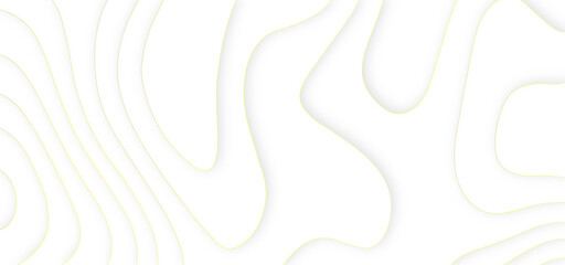 Abstract paper cut white background. Abstract wavy line 3d paper cut white background.