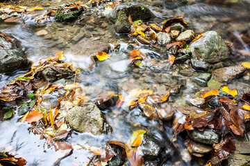 Mountain creek in autumn, october.