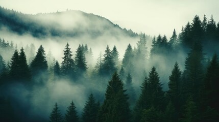 Misty landscape with fir forest in hipster vintage retro style  - obrazy, fototapety, plakaty