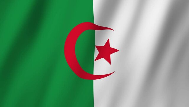 Algeria Flag. National 3d Algeria flag waving. Flag of Algeria footage video waving in wind. Flag of Algeria 4K Animation