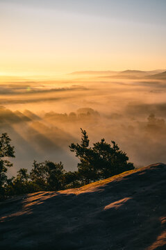 Sonnenaufgang bei Nebel im Pf&auml;lzerwald
