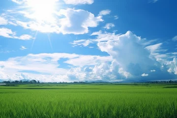Foto op Canvas Blue sky over paddy field. Generative AI © Galen