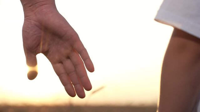 Mom holds out his hand to his son in park at sunset. Happy family, child takes his mother hand in sun, closeup. Family trust concept. Slow-motion. Mother walks with boy in nature, weekend. Parent kid