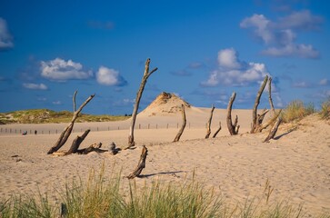 Beautiful holiday seaside landscape. Moving dunes in the desert in Slowinski National Park in Leba, Poland. - 659156119