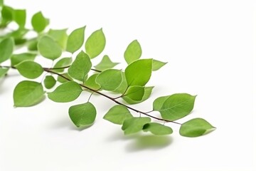 Airborne green leaves, fresh summer or spring foliage isolated on white background. Generative AI