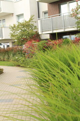 backyard with garden